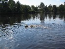 Swimming