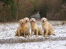 Fun in the snow