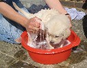 First bath